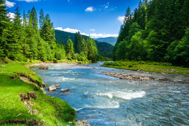 Natural Environment