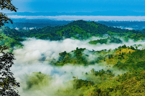 top 10 resort in sajek valley