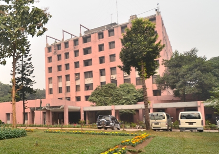 department of primary education