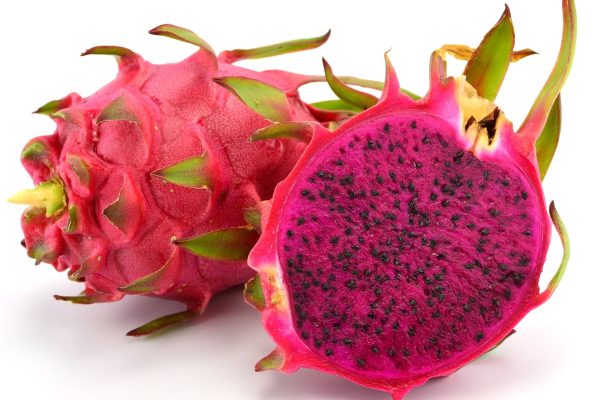 dragon fruit price in bangladesh