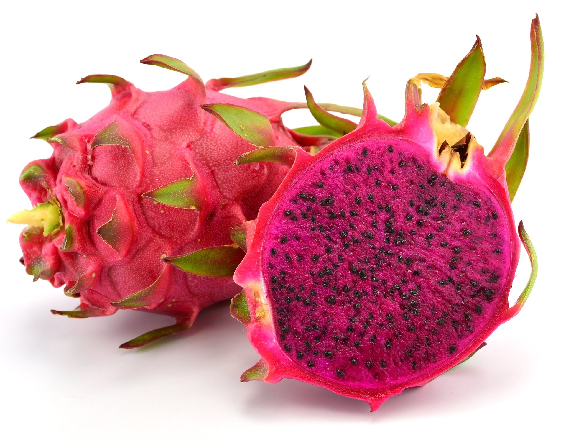 dragon fruit price in bangladesh