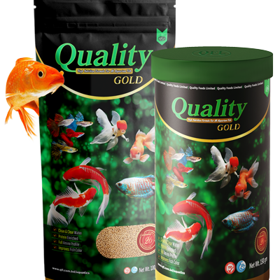 quality gold fish food