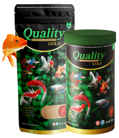 quality gold fish food