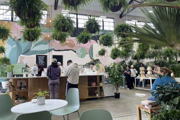 selva coffee house