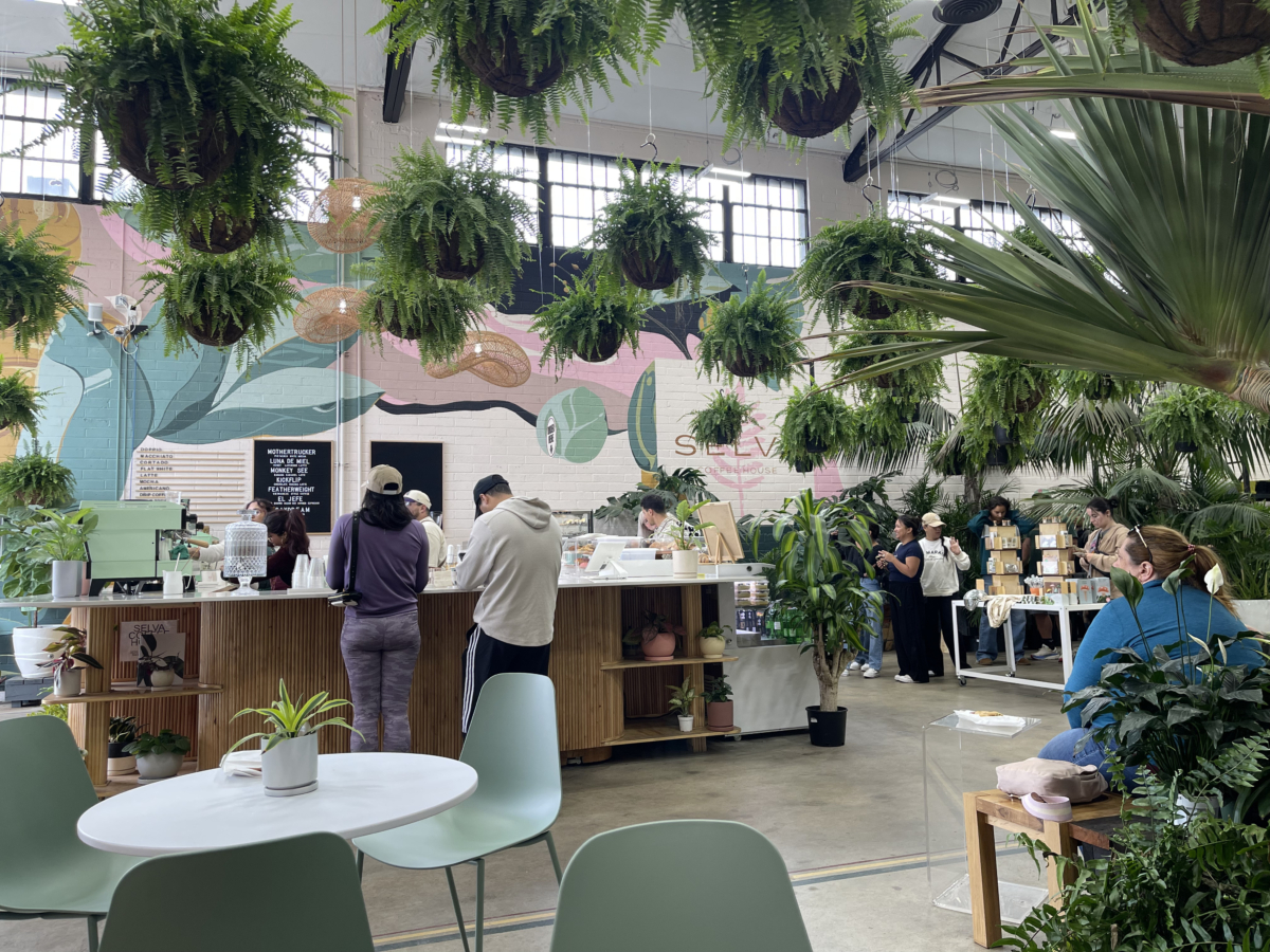selva coffee house